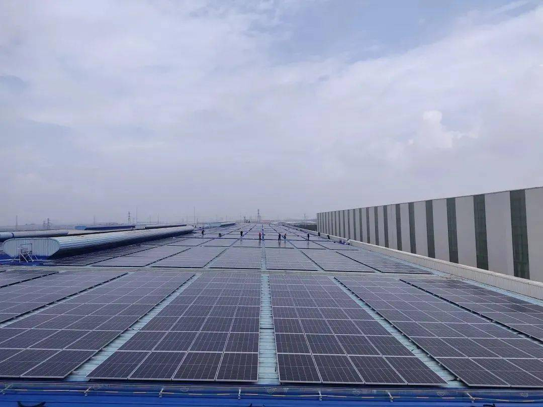 尊龙时凯·(中国区)人生就是拼搏!